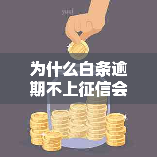 为什么白条逾期不上会有什么后果