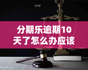 分期乐逾期10天了怎么办应该还款吗