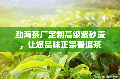 勐海茶厂定制高级紫砂壶，让您品味正宗普洱茶