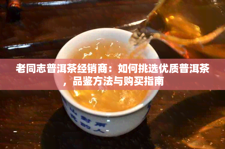 老同志普洱茶经销商：如何挑选优质普洱茶，品鉴方法与购买指南