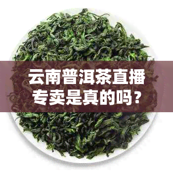 云南普洱茶直播专卖是真的吗？