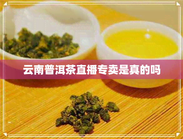 云南普洱茶直播专卖是真的吗