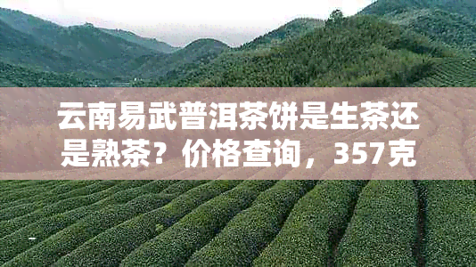 云南易武普洱茶饼是生茶还是熟茶？价格查询，357克