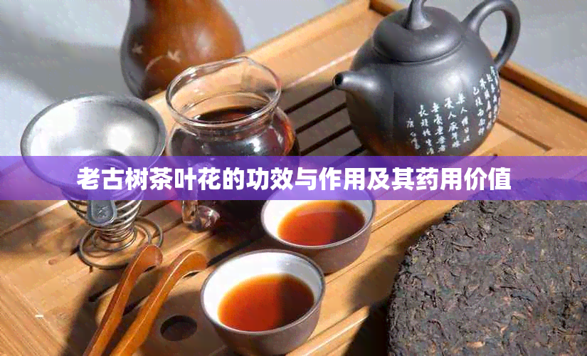 老古树茶叶花的功效与作用及其用价值