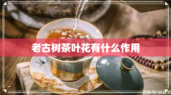 老古树茶叶花有什么作用