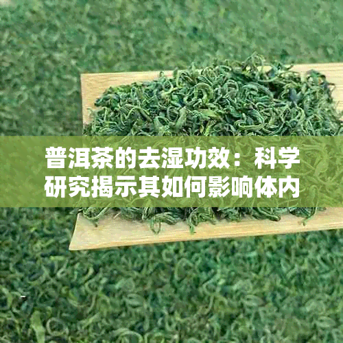 普洱茶的去湿功效：科学研究揭示其如何影响体内水分平