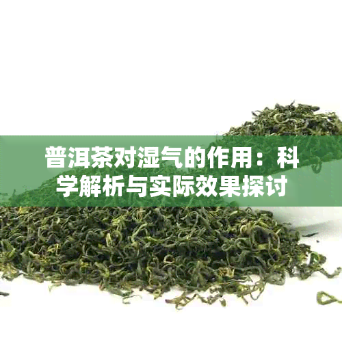 普洱茶对湿气的作用：科学解析与实际效果探讨