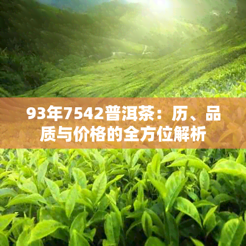 93年7542普洱茶：历、品质与价格的全方位解析