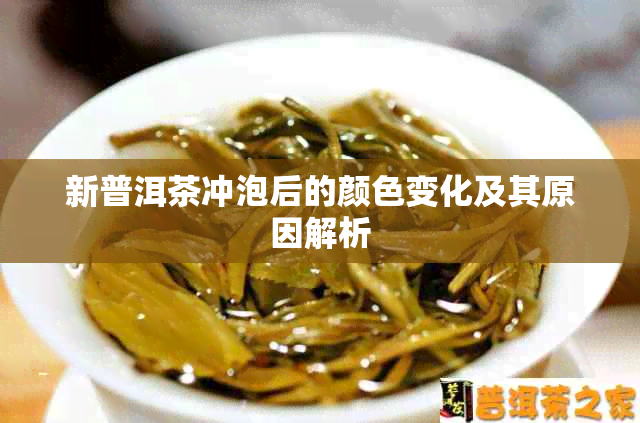 新普洱茶冲泡后的颜色变化及其原因解析