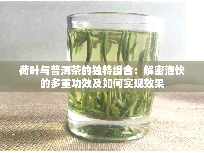 荷叶与普洱茶的独特组合：解密泡饮的多重功效及如何实现效果