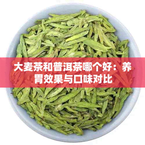 大麦茶和普洱茶哪个好：养胃效果与口味对比