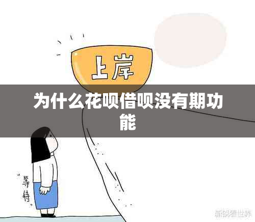 为什么花呗借呗没有期功能