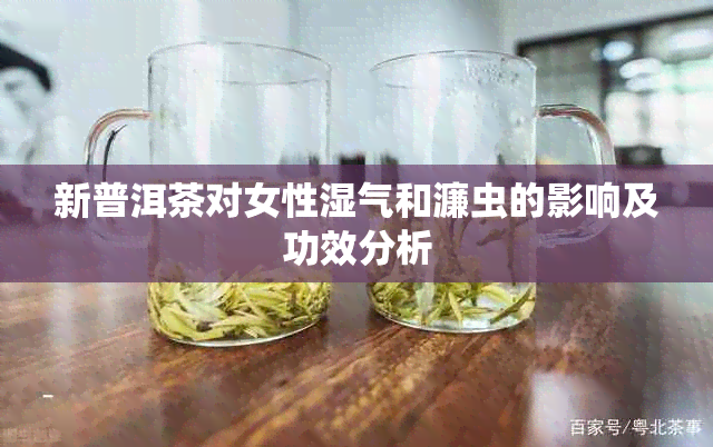 新普洱茶对女性湿气和濂虫的影响及功效分析