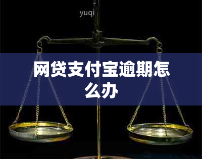 网贷支付宝逾期怎么办