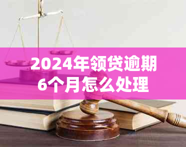 2024年领贷逾期6个月怎么处理