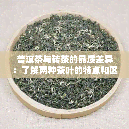 普洱茶与砖茶的品质差异：了解两种茶叶的特点和区别