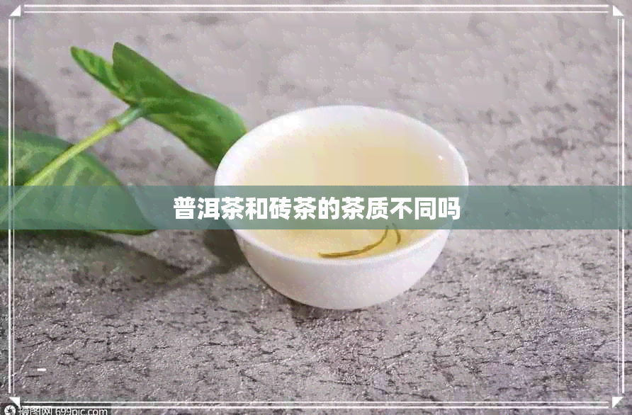 普洱茶和砖茶的茶质不同吗