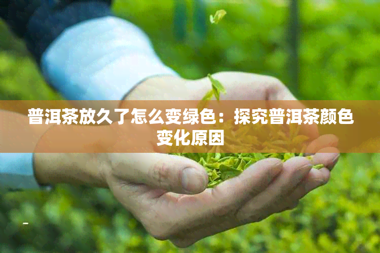 普洱茶放久了怎么变绿色：探究普洱茶颜色变化原因