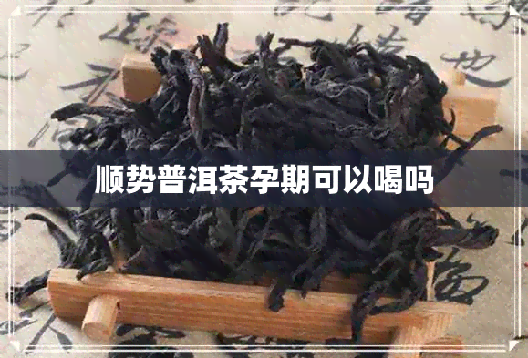 顺势普洱茶孕期可以喝吗