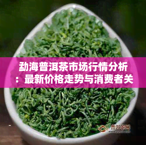 勐海普洱茶市场行情分析：最新价格走势与消费者关注点解析