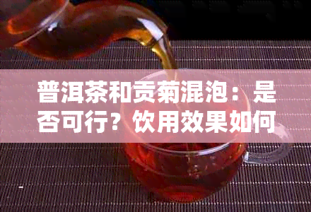 普洱茶和贡菊混泡：是否可行？饮用效果如何？