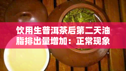 饮用生普洱茶后第二天油脂排出量增加：正常现象还是潜在健问题？