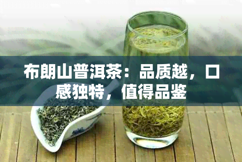 布朗山普洱茶：品质越，口感独特，值得品鉴