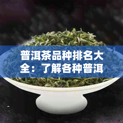 普洱茶品种排名大全：了解各种普洱茶的特点和品质，帮助你轻松选购！