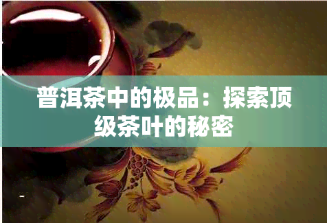 普洱茶中的极品：探索顶级茶叶的秘密