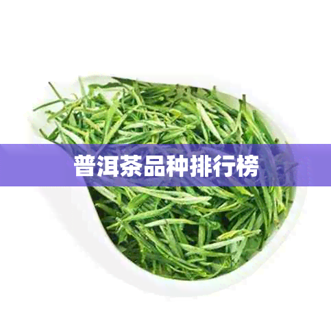 普洱茶品种排行榜