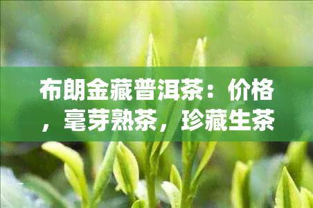 布朗金藏普洱茶：价格，毫芽熟茶，珍藏生茶 | 357克与380克选项