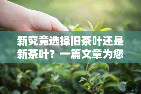 新究竟选择旧茶叶还是新茶叶？一篇文章为您全面解答！