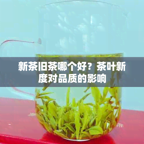 新茶旧茶哪个好？茶叶新度对品质的影响