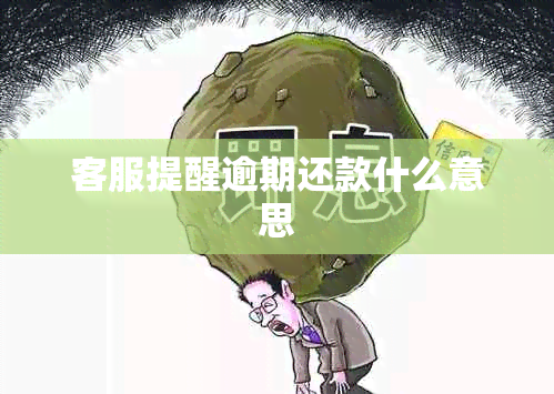 客服提醒逾期还款什么意思