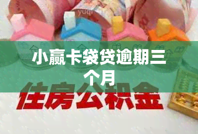 小赢卡袋贷逾期三个月