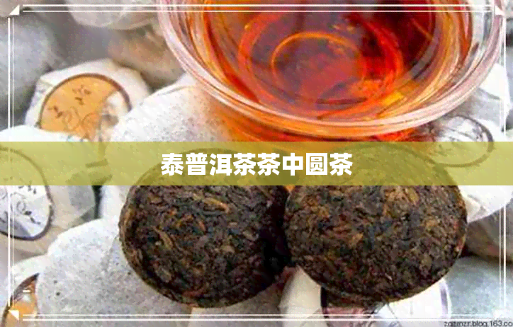 泰普洱茶茶中圆茶