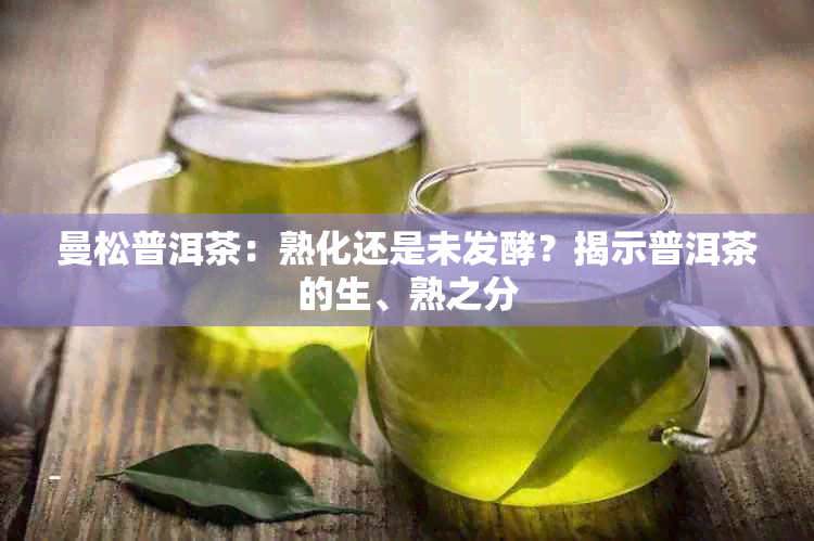 曼松普洱茶：熟化还是未发酵？揭示普洱茶的生、熟之分