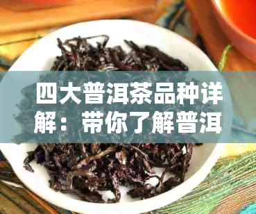 四大普洱茶品种详解：带你了解普洱茶的种类、特点及品饮技巧