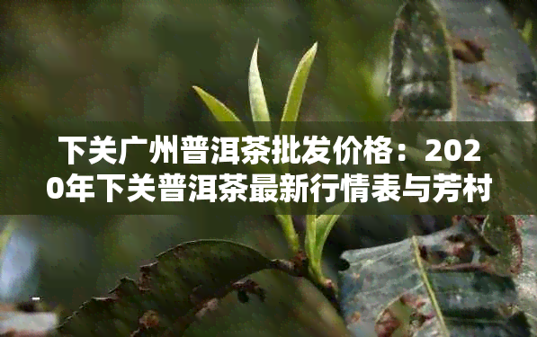 下关广州普洱茶批发价格：2020年下关普洱茶最新行情表与芳村茶叶厂信息