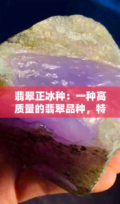 翡翠正冰种：一种高质量的翡翠品种，特点、鉴别方法与选购指南