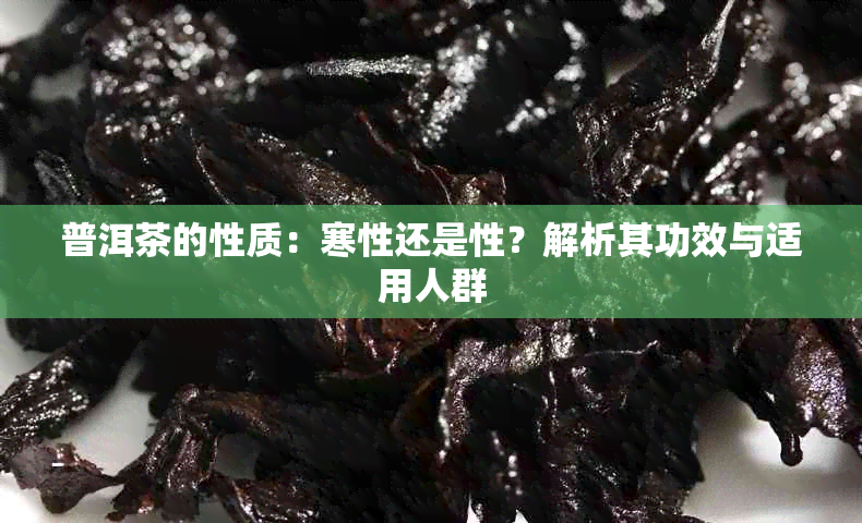 普洱茶的性质：寒性还是性？解析其功效与适用人群