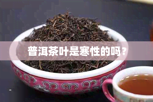 普洱茶叶是寒性的吗？