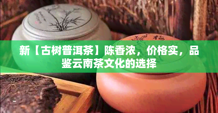 新【古树普洱茶】陈香浓，价格实，品鉴云南茶文化的选择