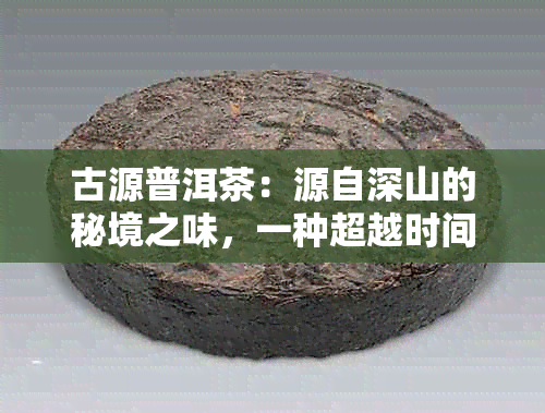 古源普洱茶：源自深山的秘境之味，一种超越时间的文化体验