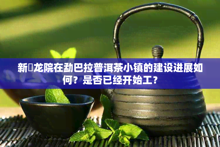 新璟龙院在勐巴拉普洱茶小镇的建设进展如何？是否已经开始工？