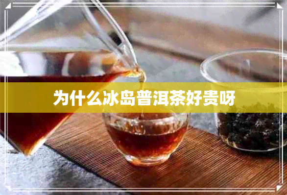 为什么冰岛普洱茶好贵呀