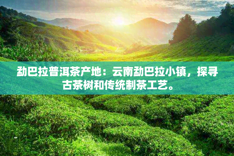 勐巴拉普洱茶产地：云南勐巴拉小镇，探寻古茶树和传统制茶工艺。