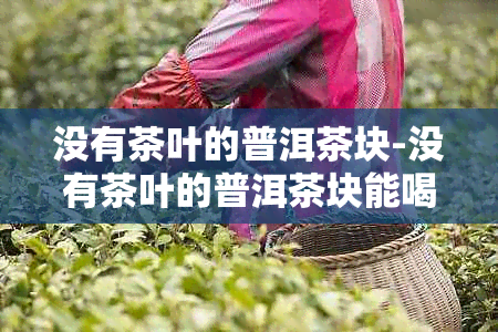 没有茶叶的普洱茶块-没有茶叶的普洱茶块能喝吗