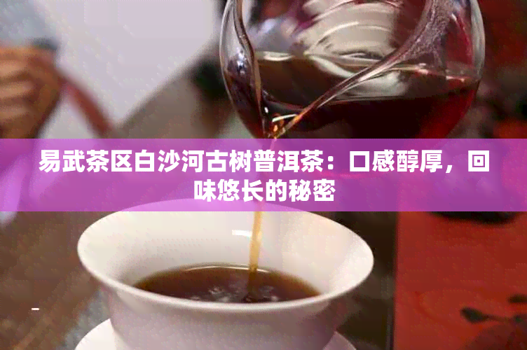 易武茶区白沙河古树普洱茶：口感醇厚，回味悠长的秘密