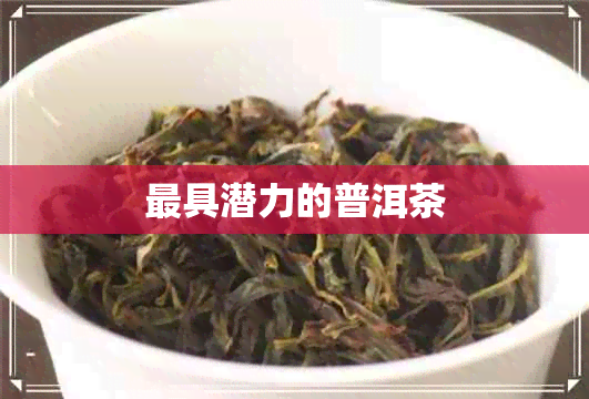 更具潜力的普洱茶